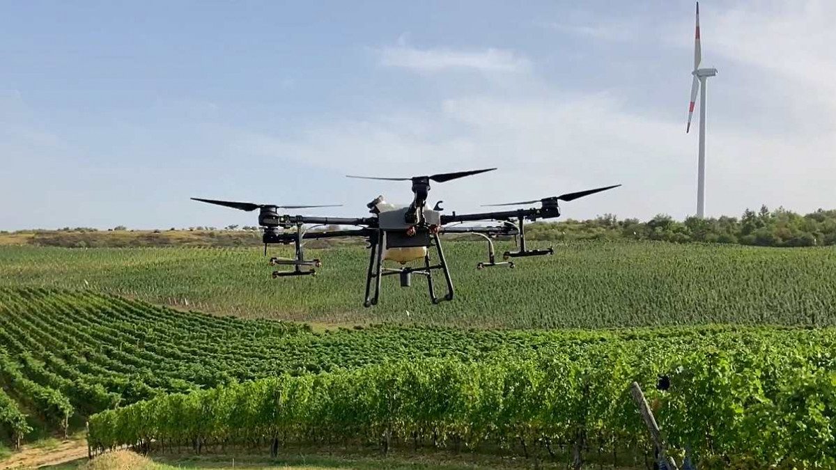 Agricultura sustenabilă
